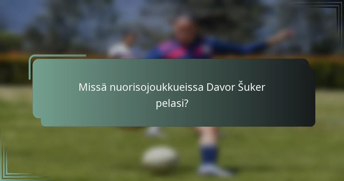 Missä nuorisojoukkueissa Davor Šuker pelasi?