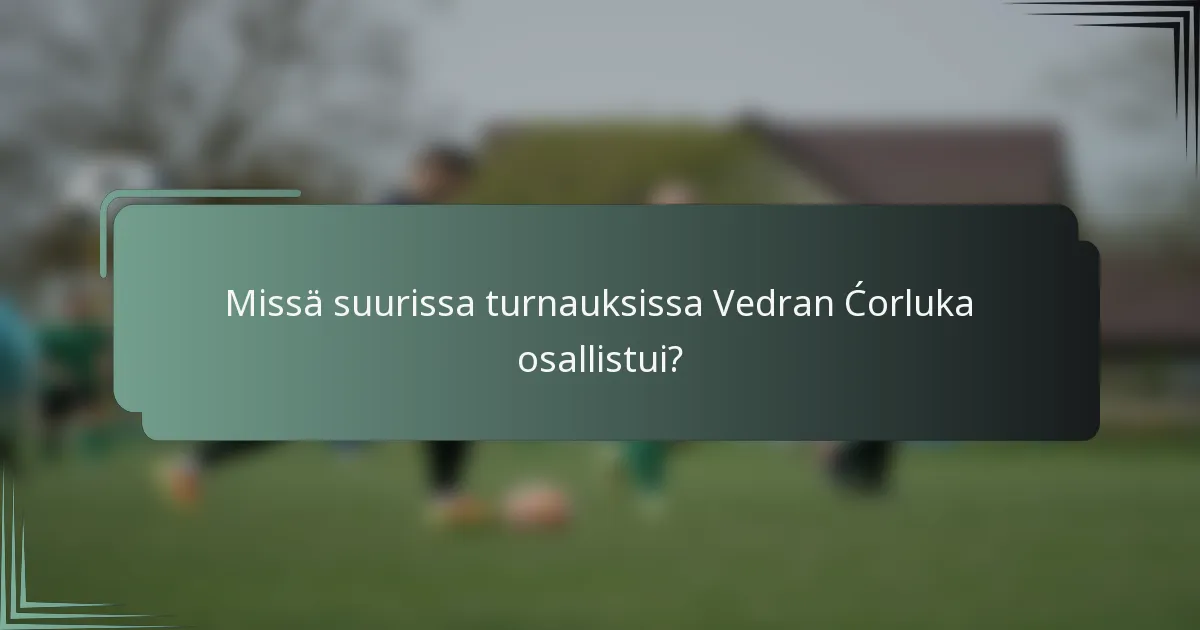 Missä suurissa turnauksissa Vedran Ćorluka osallistui?